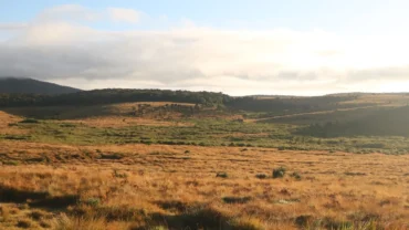 Horton Plains National Park Guideline