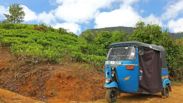 tuk-tuk - Rent A Tuk Tuk In Sri Lanka