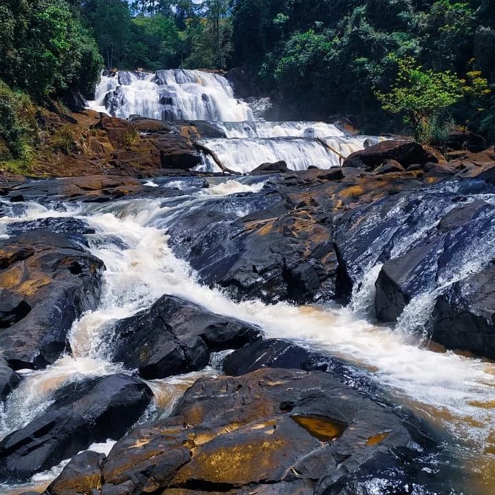 Waterfall in Sinharaja Forest Reserve 