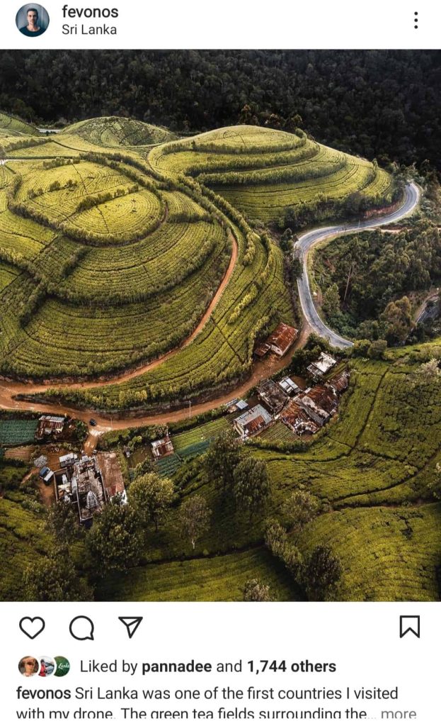 Nuwara eliya tea plantation - Most Instagrammable places in Sri Lanka