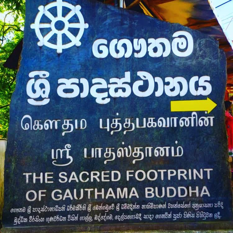 Roar sin to Adam's Peak Sri Lanka