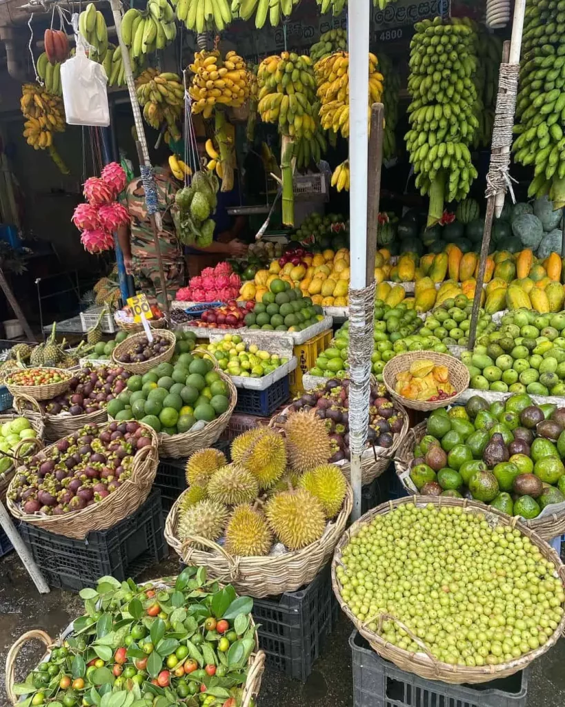 Sri Lanka Fruits- Health Issues In Sri Lanka And Safety Guidelines You Should Know Before Visit Sri Lanka