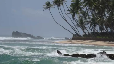 Arugam Bay Beach In Sri Lanka