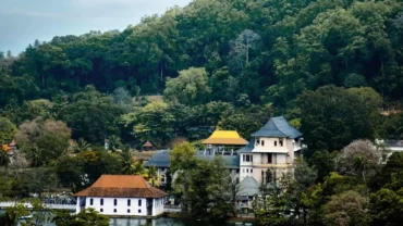 Kandy Tooth Temple- Things To Do In Kandy