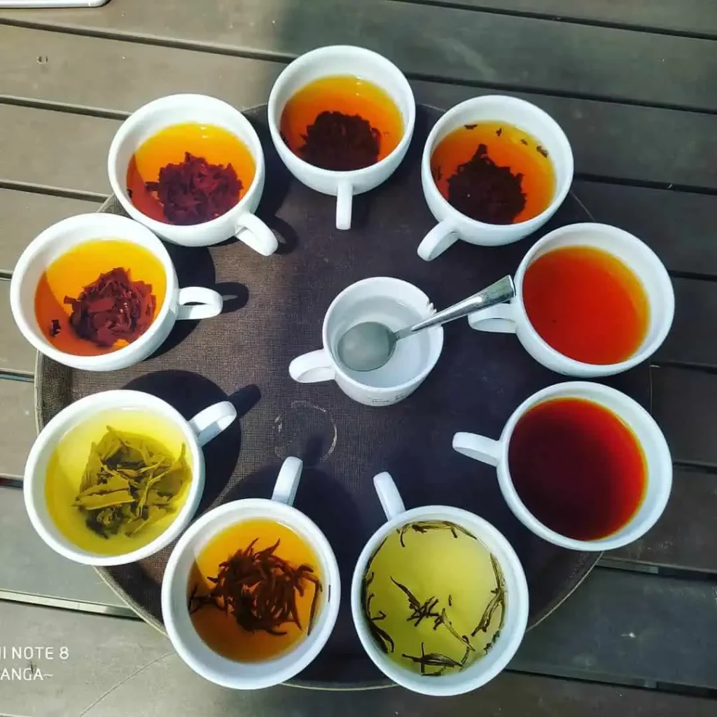 Ceylon tea varieties