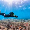 Snorkeling in Sri Lanka