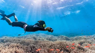 Snorkeling in Sri Lanka